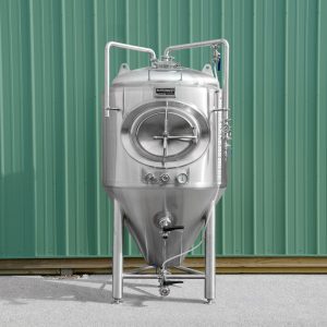 5 BBL Fermenter / Unitank